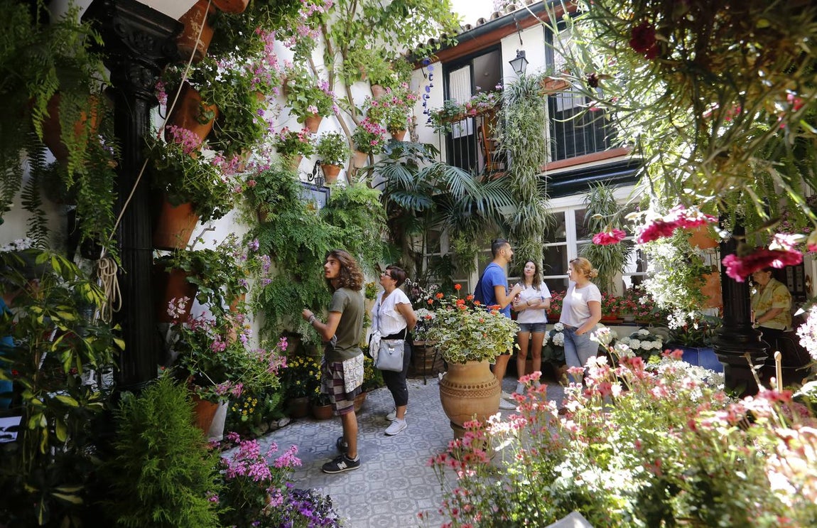 El encanto de los Patios de San Francisco y la Judería de Córdoba, en imágenes