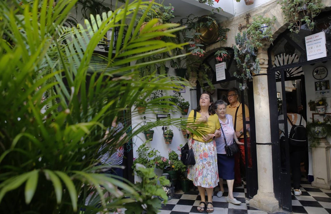 El encanto de los Patios de San Francisco y la Judería de Córdoba, en imágenes