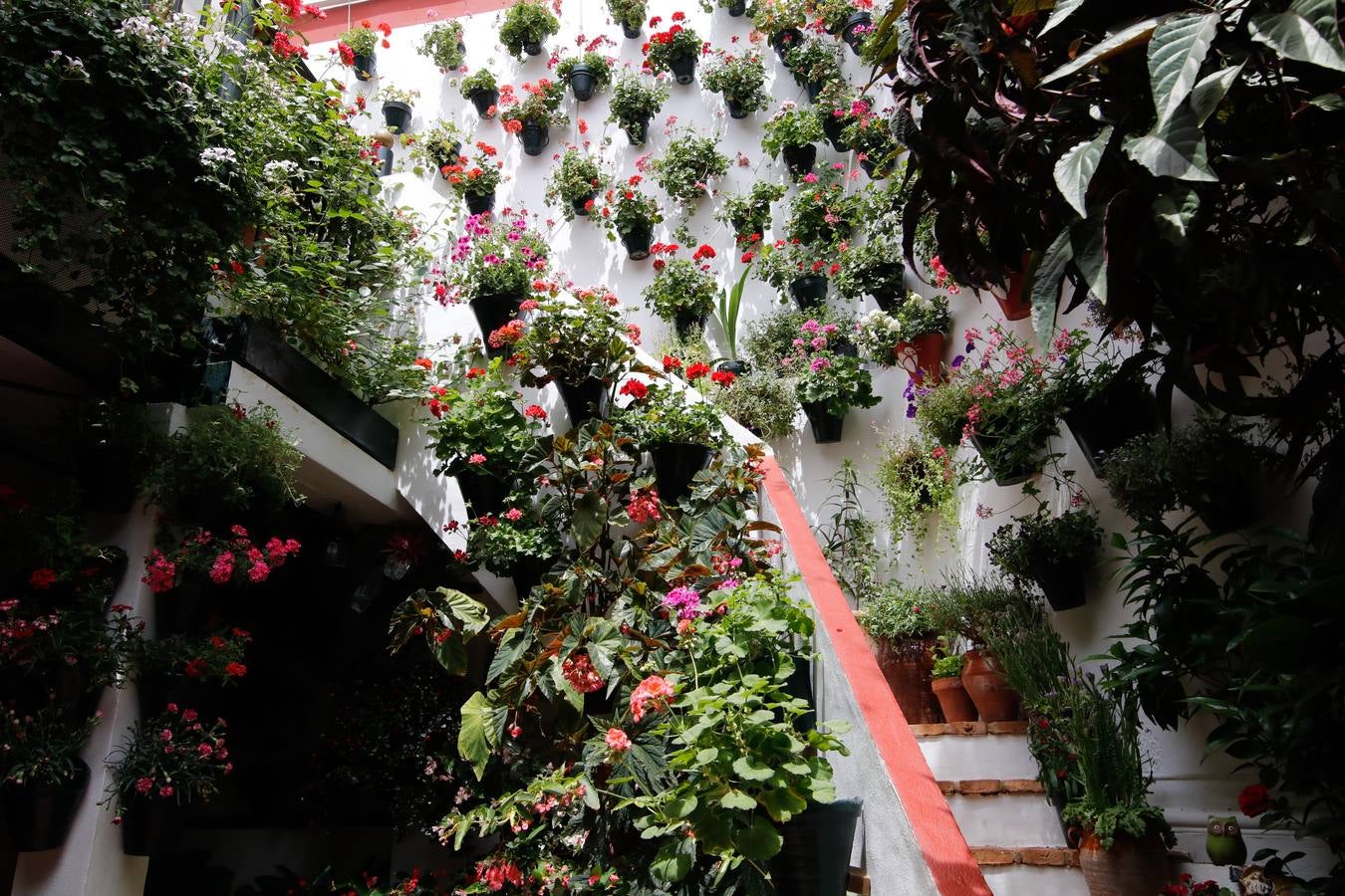 El esplendor de los patios de San Basilio-Alcázar Viejo en Córdoba, en imágenes