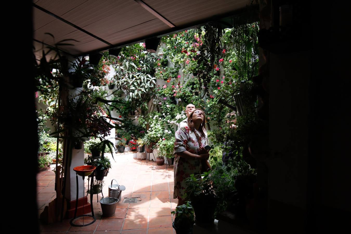 El esplendor de los patios de San Basilio-Alcázar Viejo en Córdoba, en imágenes