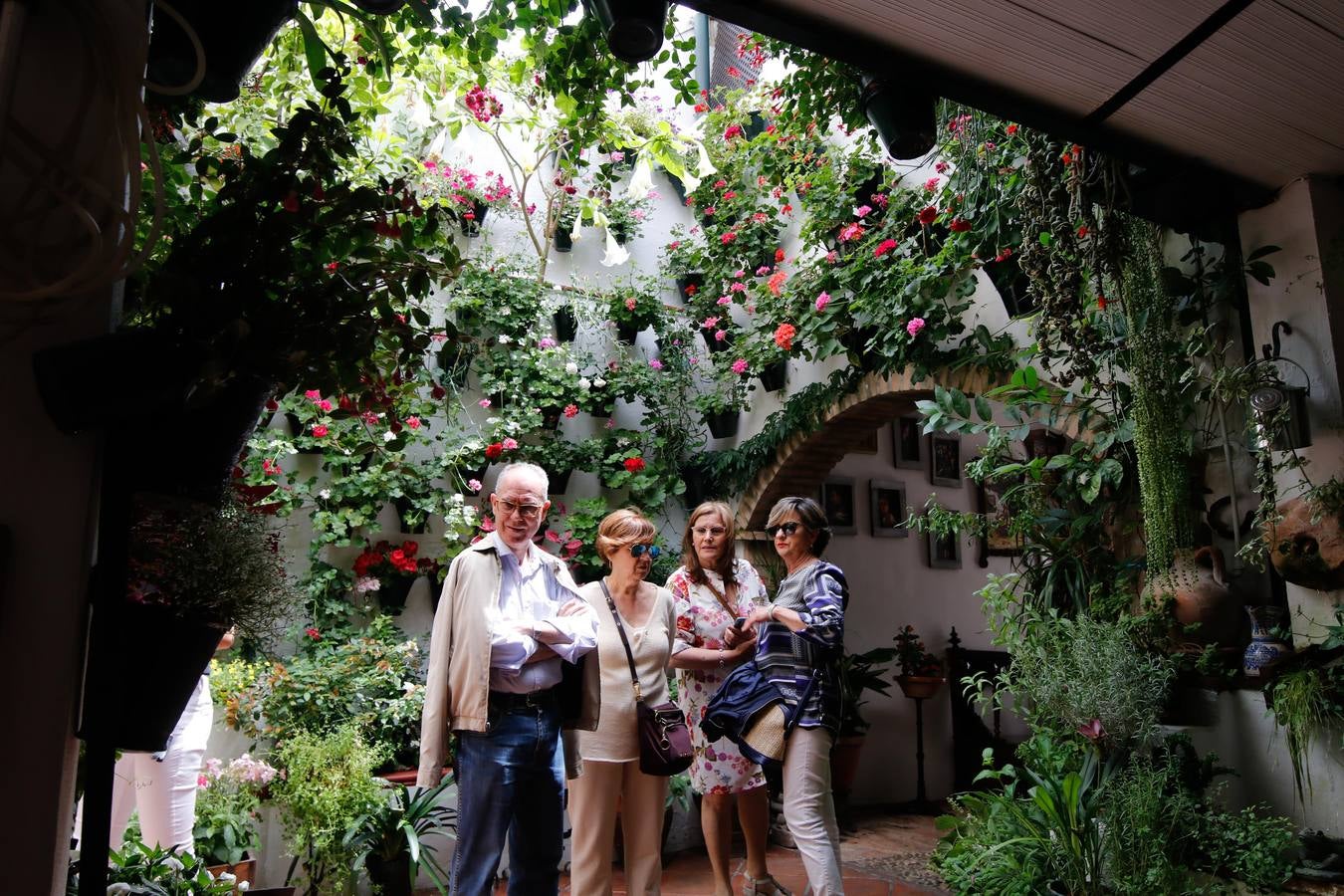 El esplendor de los patios de San Basilio-Alcázar Viejo en Córdoba, en imágenes