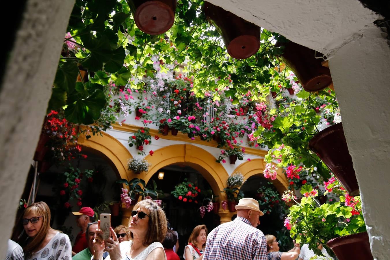 El esplendor de los patios de San Basilio-Alcázar Viejo en Córdoba, en imágenes