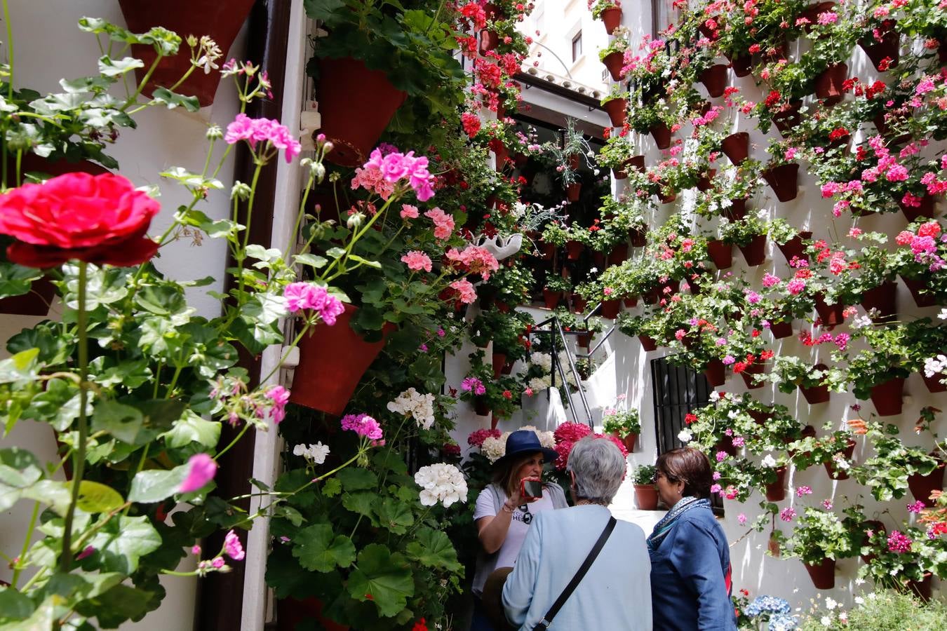 El esplendor de los patios de San Basilio-Alcázar Viejo en Córdoba, en imágenes