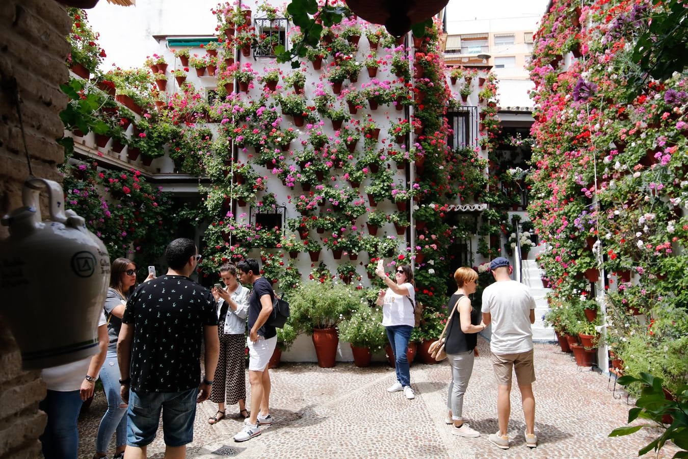 El esplendor de los patios de San Basilio-Alcázar Viejo en Córdoba, en imágenes