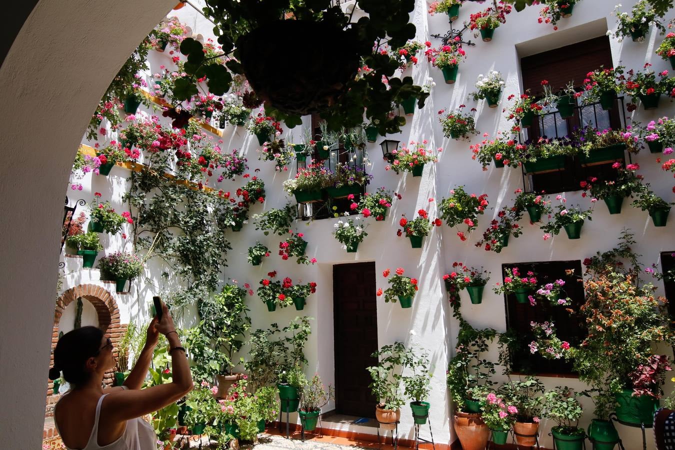 El esplendor de los patios de San Basilio-Alcázar Viejo en Córdoba, en imágenes