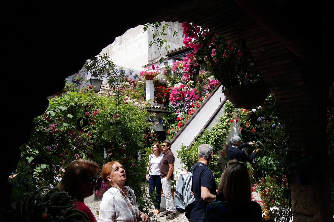 El esplendor de los patios de San Basilio-Alcázar Viejo en Córdoba, en imágenes