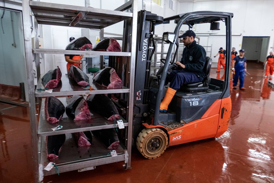 Fotogalería: Los últimos artesanos de las almadrabas