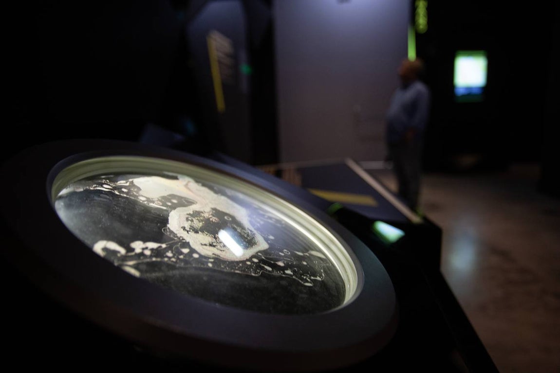 En imágenes, celebración del Día Internacional de los Museos en Sevilla