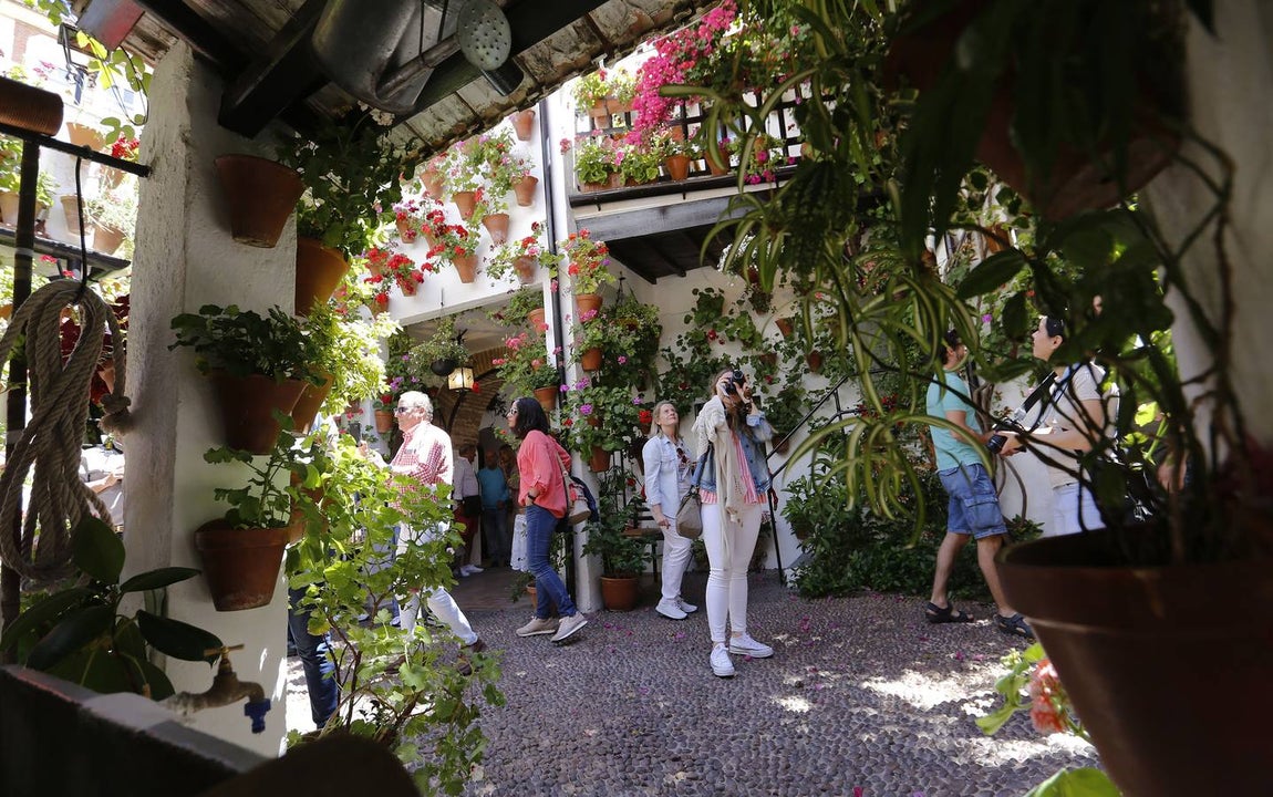 El penúltimo aliento de los Patios de Córdoba