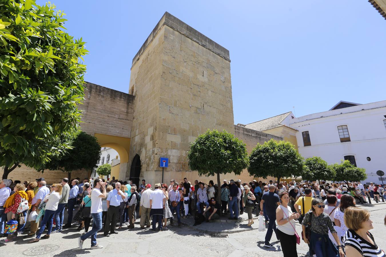 El penúltimo aliento de los Patios de Córdoba