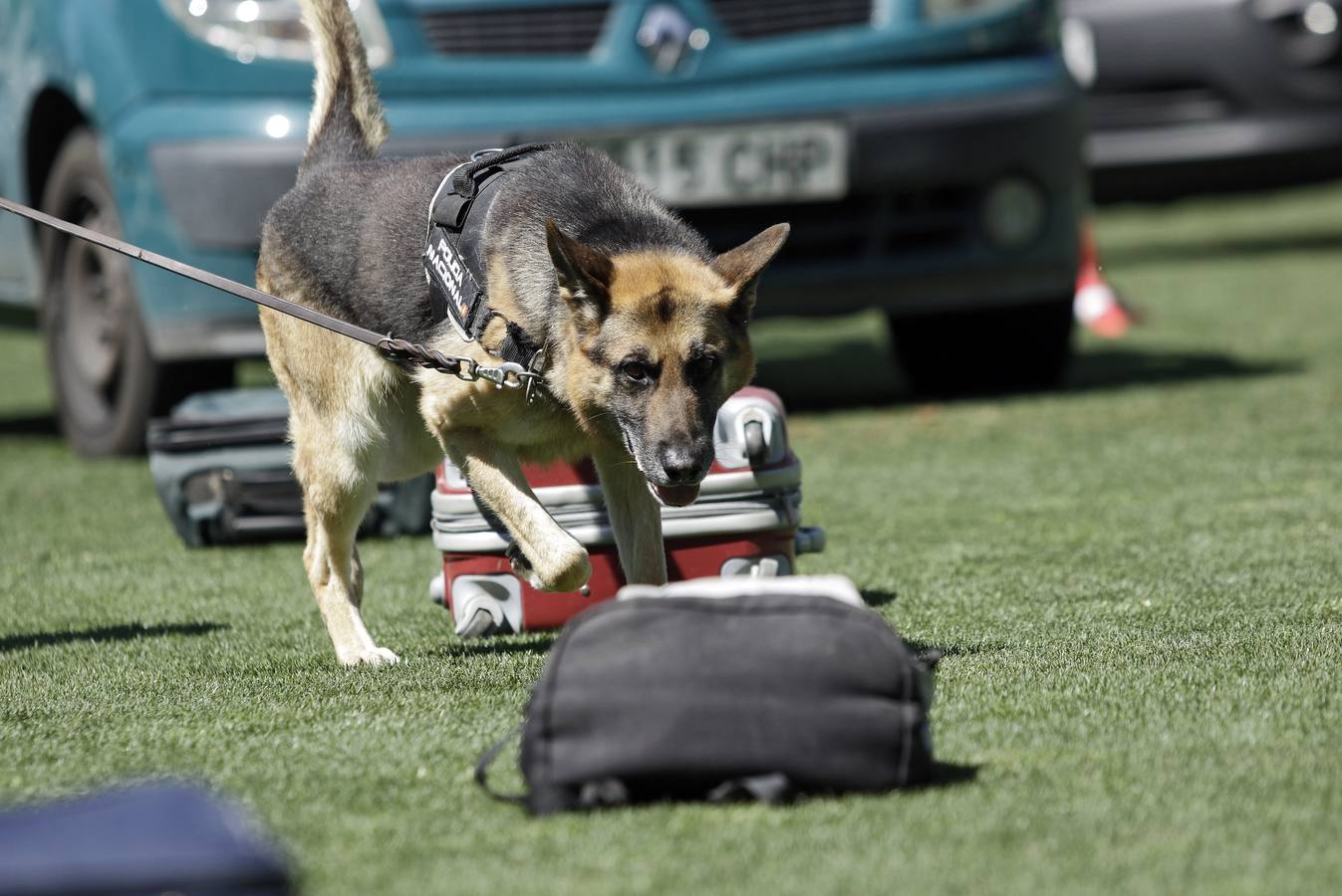 Exhibición de la Policía Nacional en el Benito Villamarín