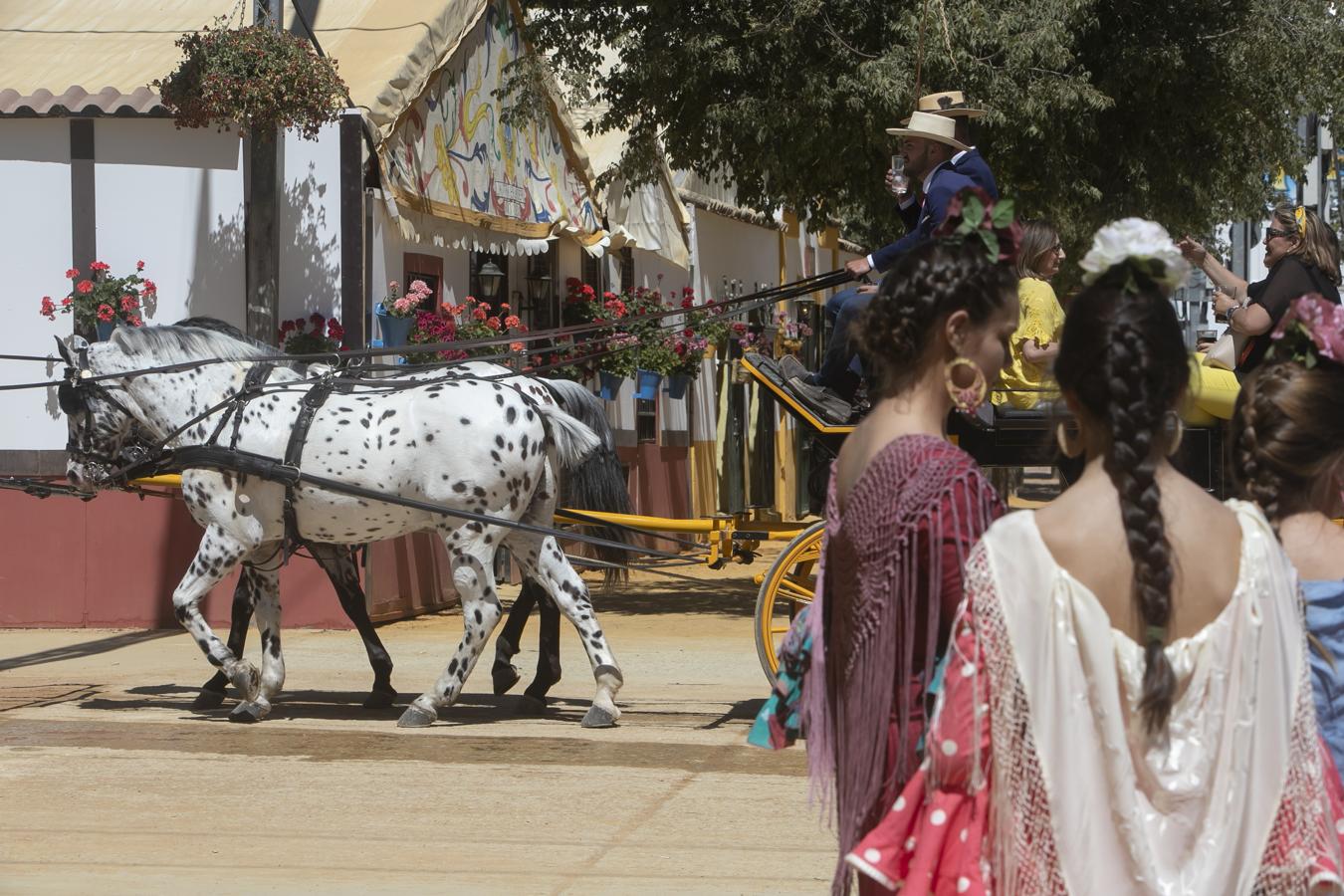 La jornada del miércoles en la Feria de Córdoba, en imágenes