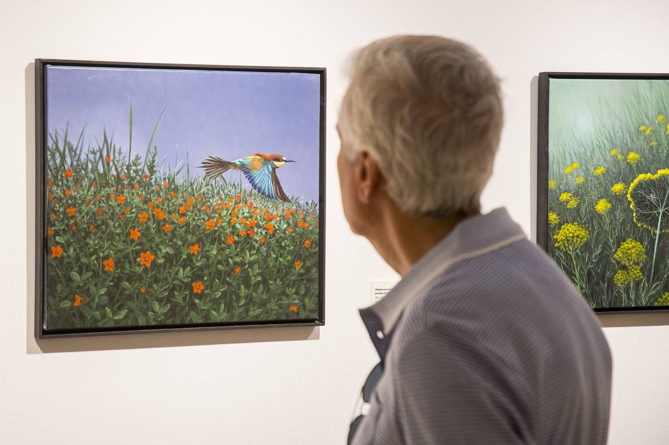 Hasta el 30 de junio puede verse «Naturaleza en transformación» en la Fundación Cajasol