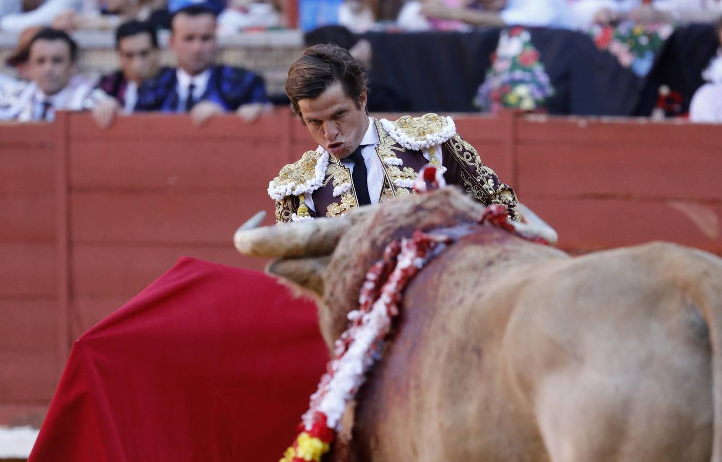 En imágenes, el festejo de Finito, Morante y Juli en la Feria de Córdoba