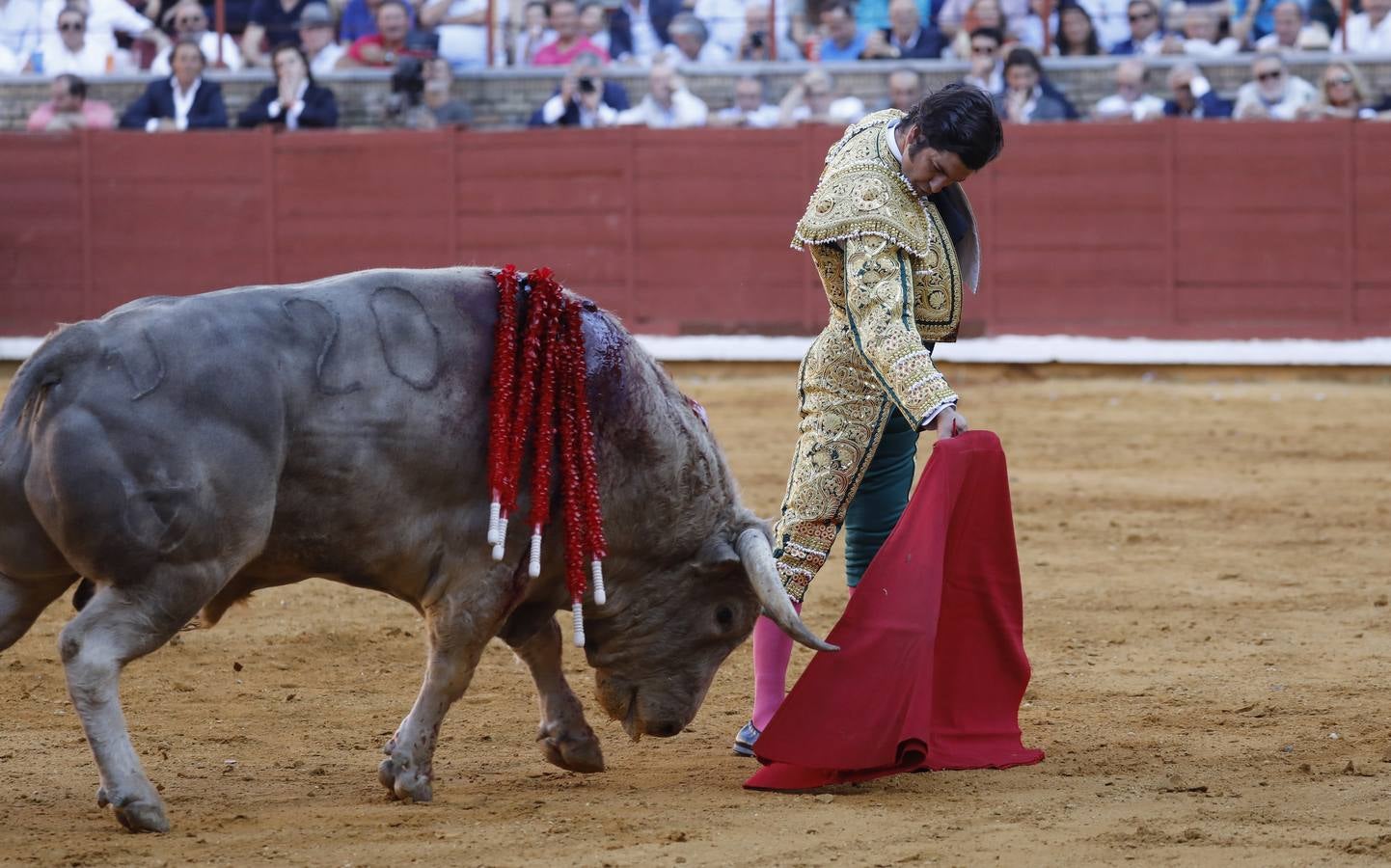 En imágenes, el festejo de Finito, Morante y Juli en la Feria de Córdoba