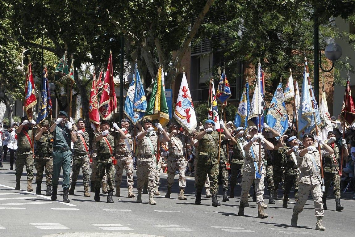En imágenes, la participación de la Brigada de Córdoba en el desfile de las Fuerzas Armadas
