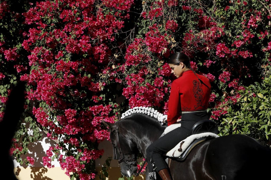 La corrida de rejones de Córdoba, en imágenes