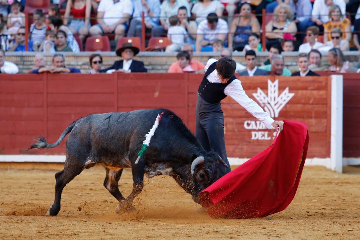 La becerrada de la mujer cordobesa en la Plaza de Toros de Los Califas, en imágenes