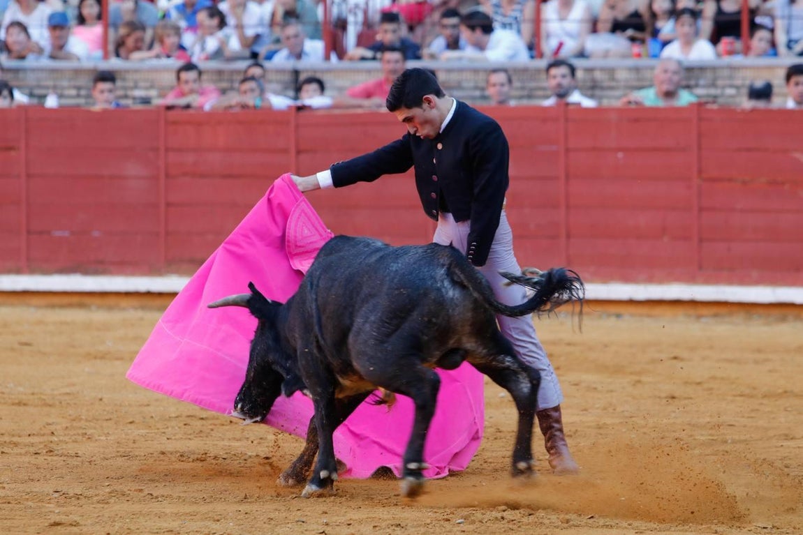 La becerrada de la mujer cordobesa en la Plaza de Toros de Los Califas, en imágenes