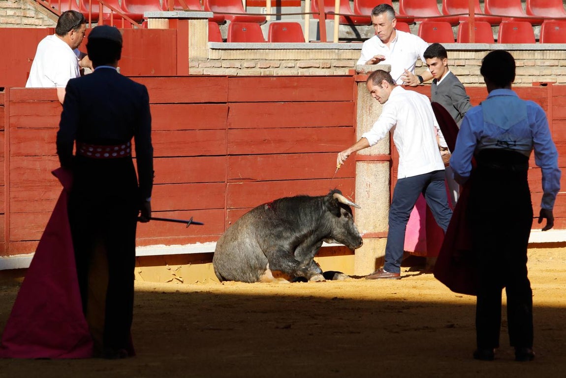 La becerrada de la mujer cordobesa en la Plaza de Toros de Los Califas, en imágenes