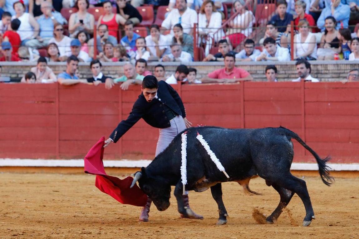 La becerrada de la mujer cordobesa en la Plaza de Toros de Los Califas, en imágenes
