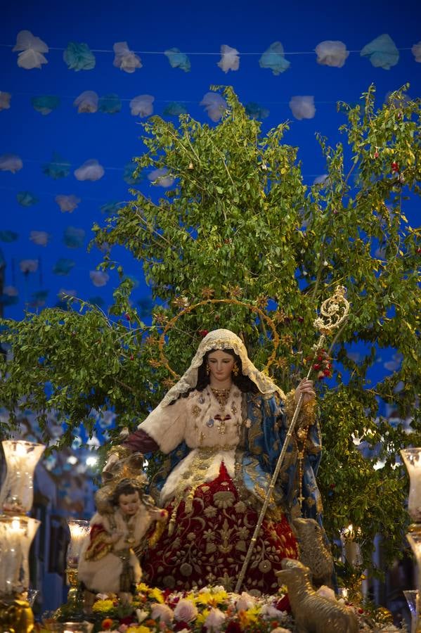 Galería de la salida del Sagrado Corazón y la Pastora de Capuchinos