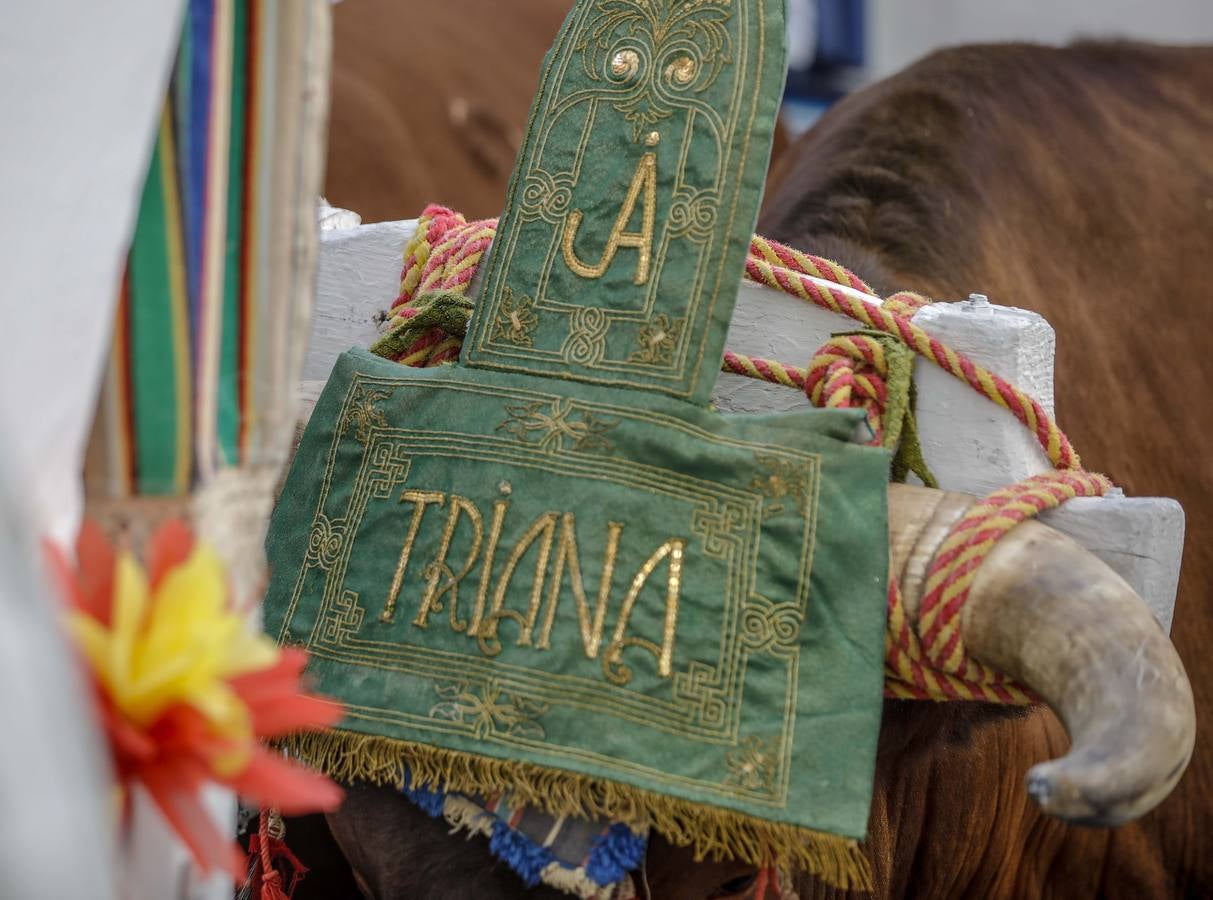 En imágenes, el Rocío de Triana inicia su camino