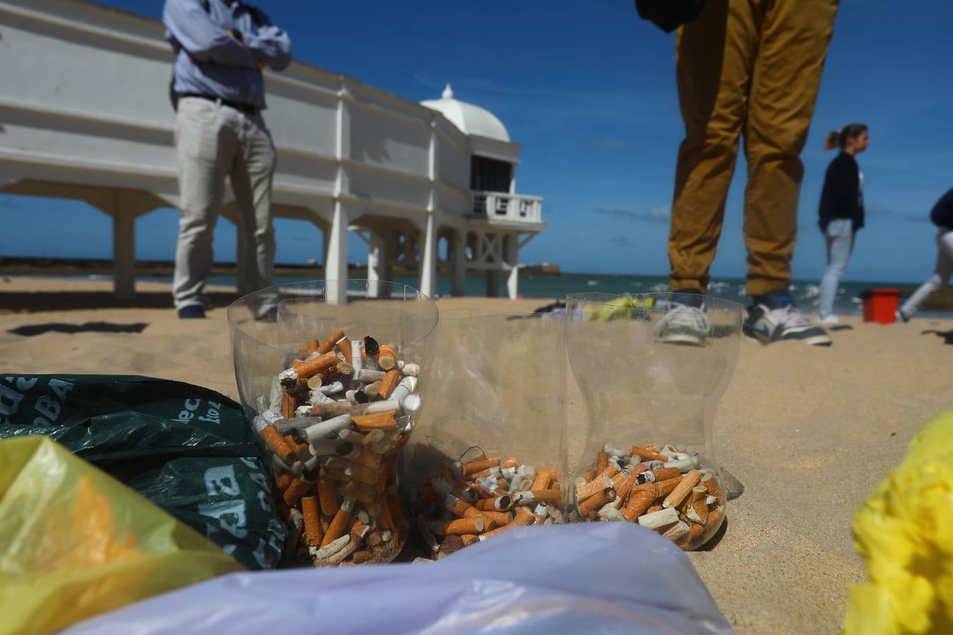 Los colegios de Cádiz limpian la playa de la Caleta por el Día Mundial del Medio Ambiente