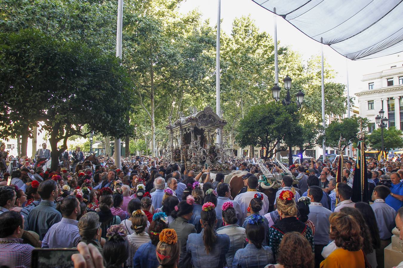 En imágenes, la salida de la hermandad del Rocío de Sevilla