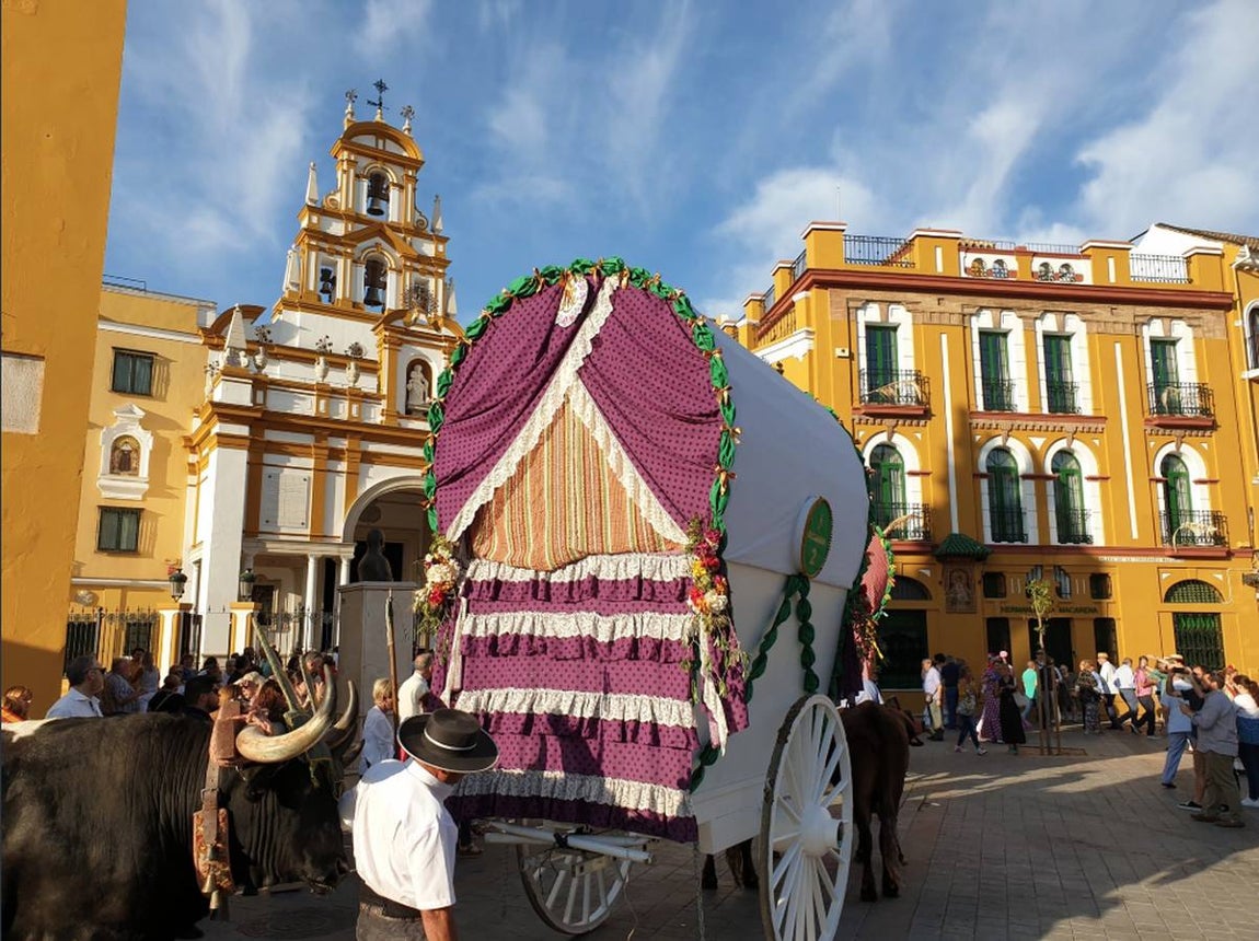 #MiRocíoenABC: los primeros días del Camino del Rocío a través de las fotos de nuestros lectores