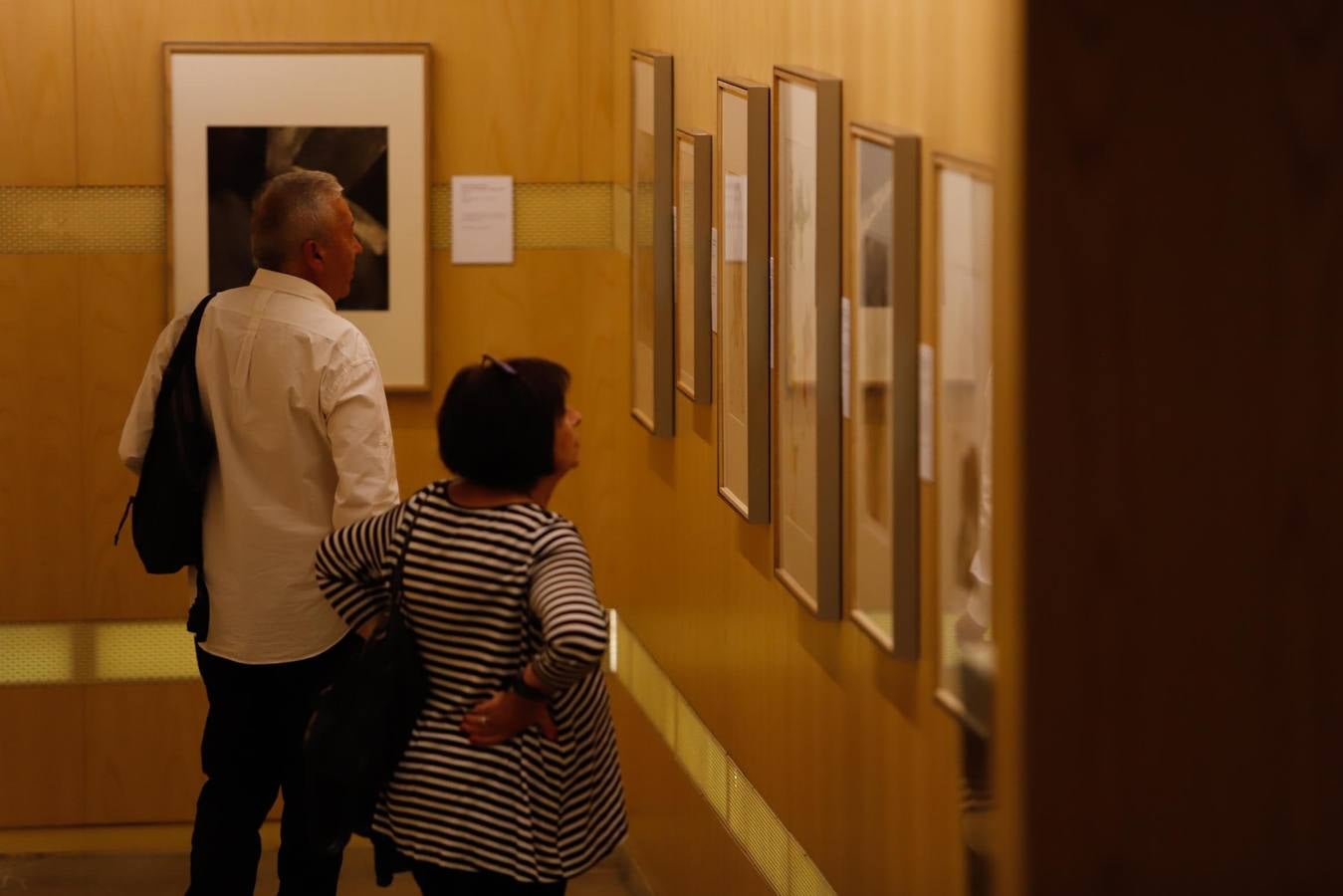 El museo de Bellas Artes de Córdoba, en imágenes