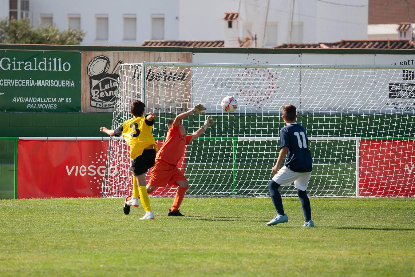 FOTOS: La Copa Viesgo, en imágenes