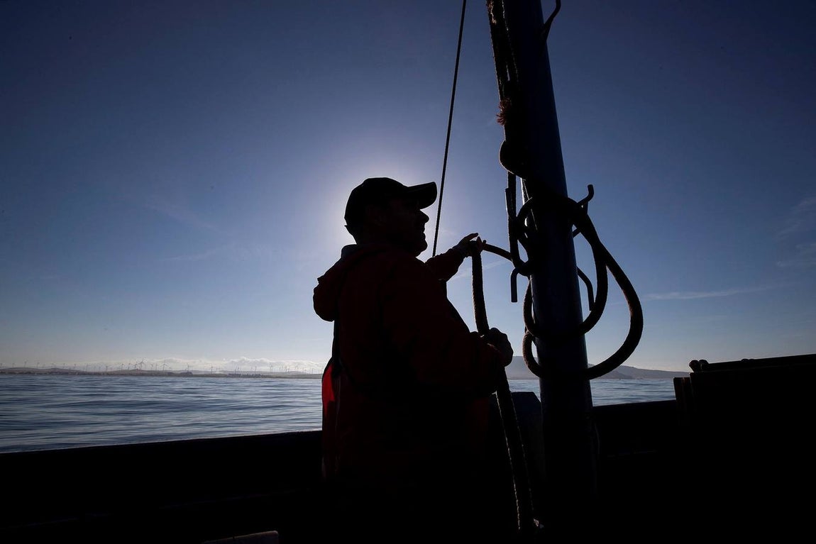 Almadrabas, una saga de tres mil años