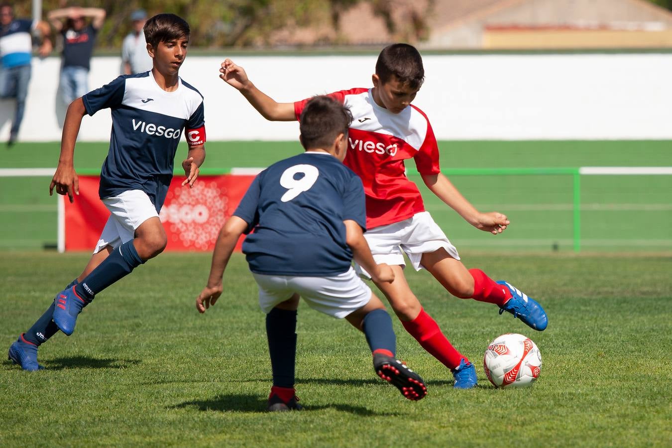 Copa viesgo: semifinales y final categoría bebé