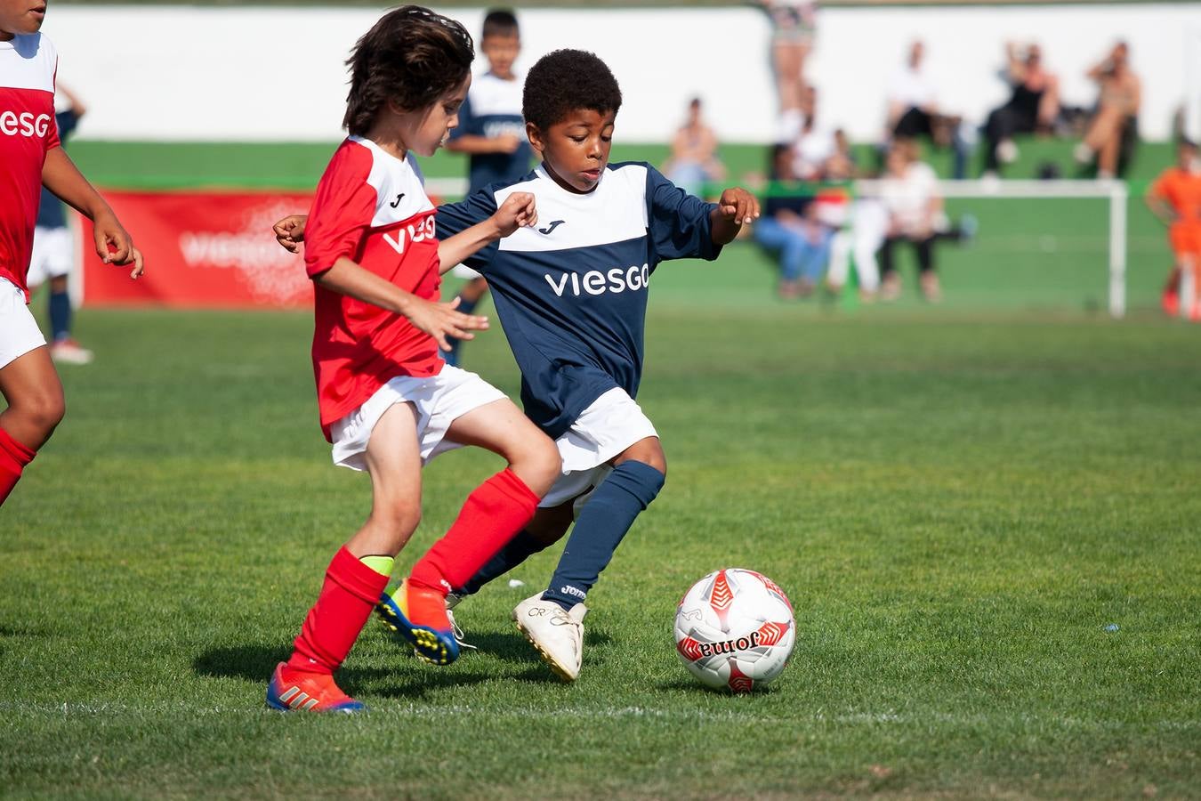 Copa viesgo: semifinales y final categoría bebé