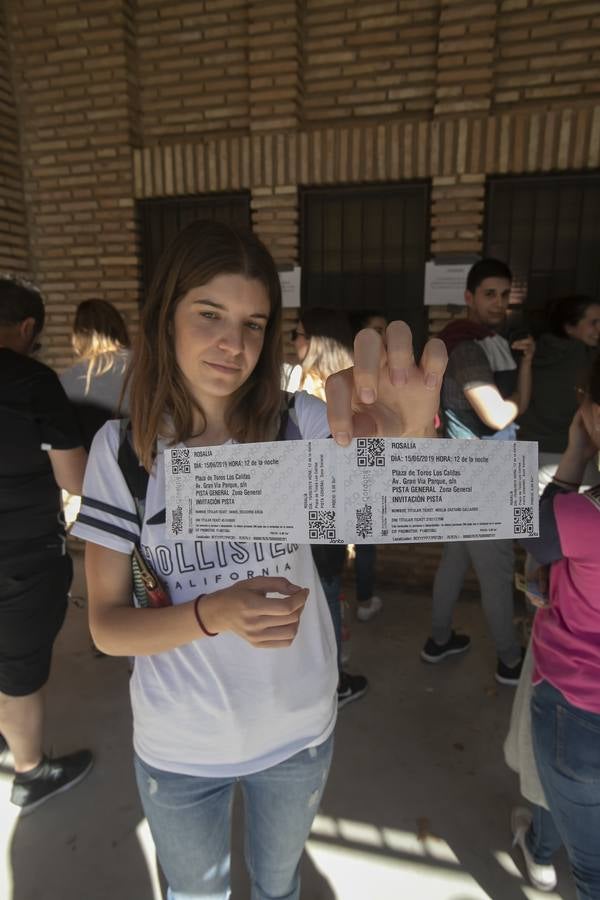 Las colas para las invitaciones del concierto de Rosalía en Córdoba, en imágenes