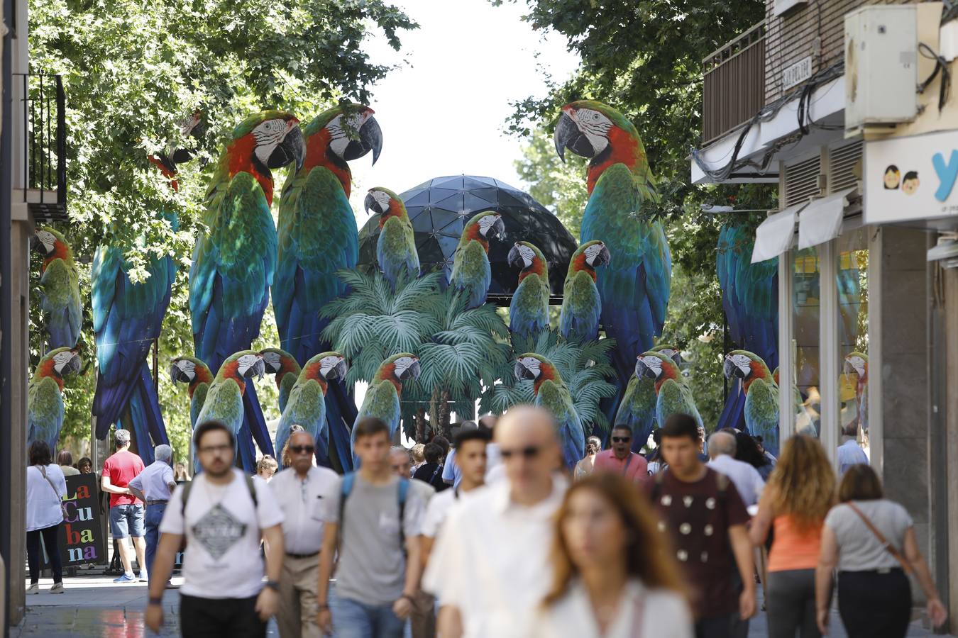 En imágenes, la presentación de la nueva obra de La Cubana en Córdoba