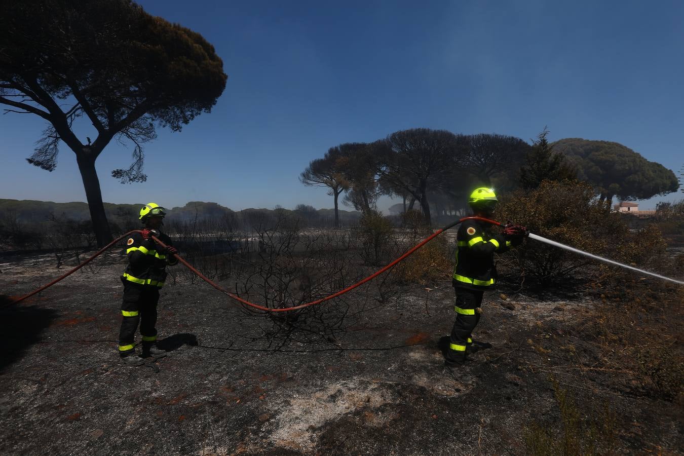 Fotos: Grave incendio en Conil, Cádiz