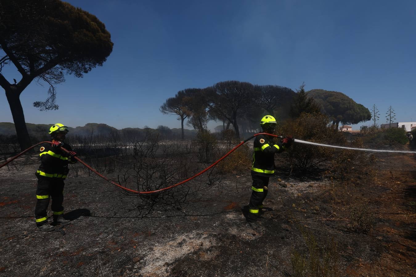 Fotos: Grave incendio en Conil, Cádiz