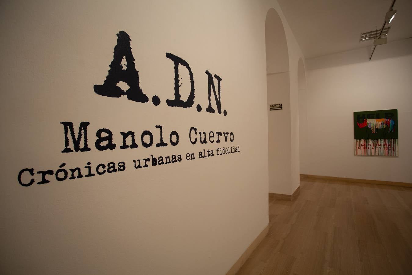 Exposición de Manolo Cuervo en la Casa de la Provincia