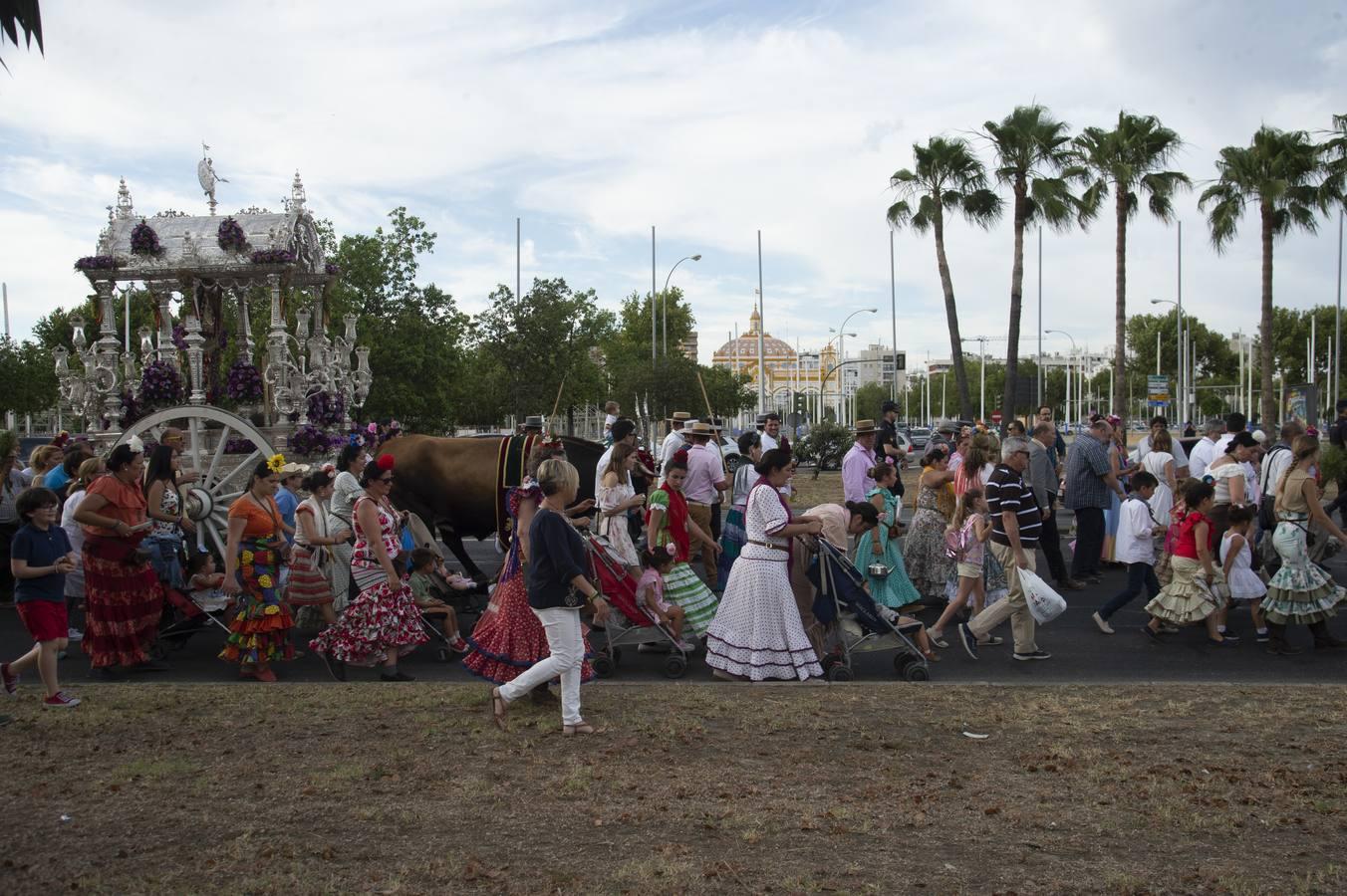 Galería de la vuelta de las hermandades del Rocío a Sevilla