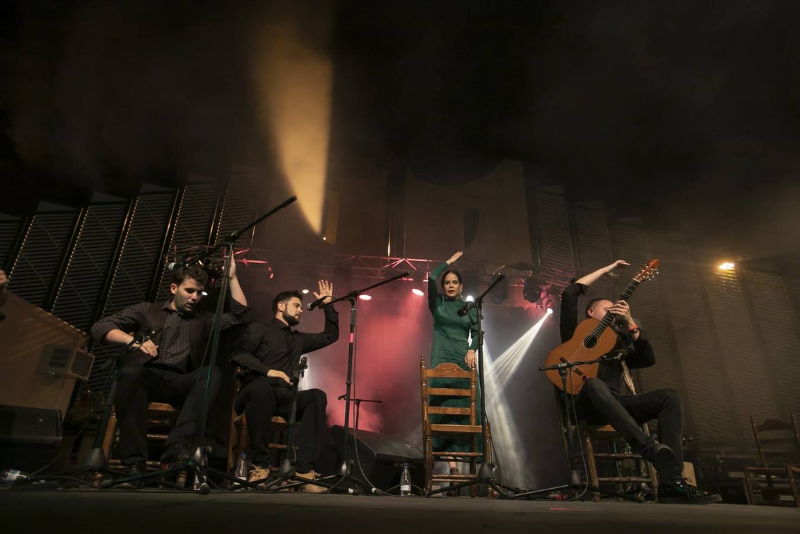 Galería del concierto de Remedios Amaya en Córdoba