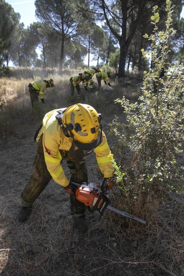 La preparación del Infoca de Córdoba, en imágenes