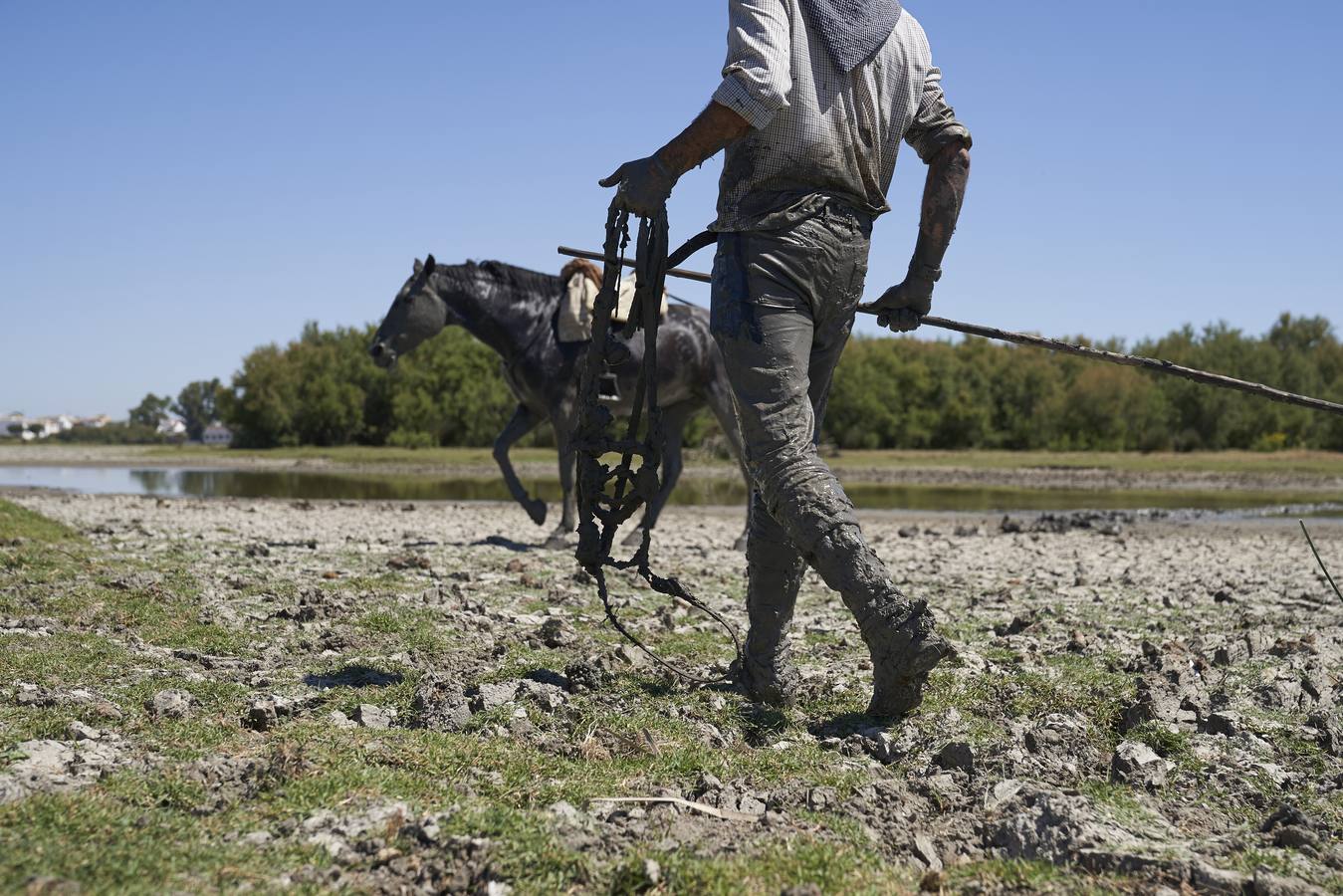 Almonte se prepara para la «Saca de las Yeguas»