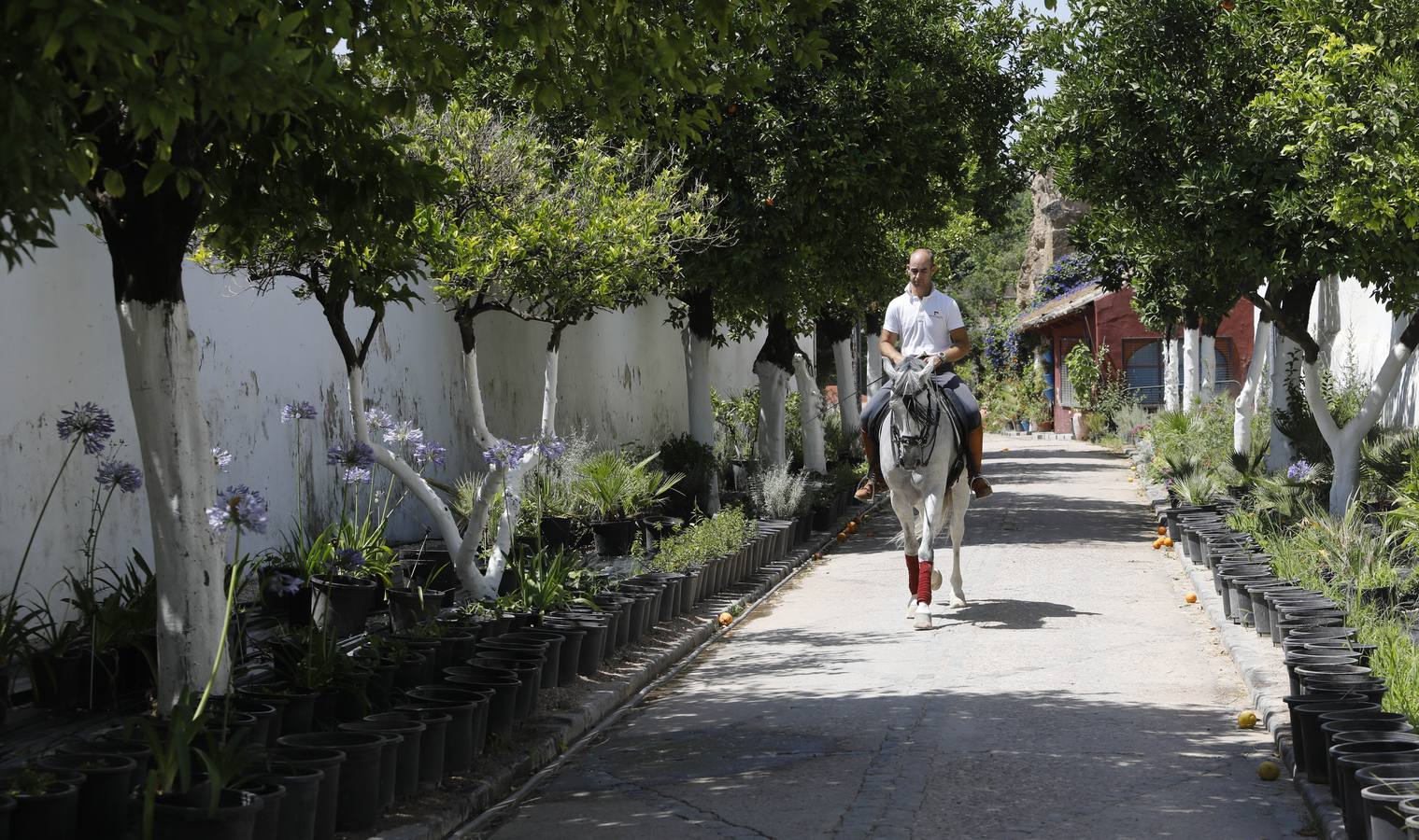 La huerta de Caballerizas Reales, en imágenes