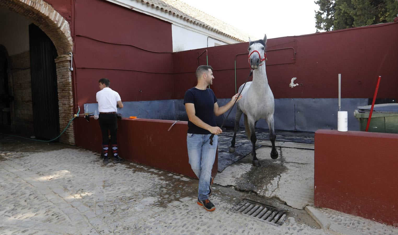 La huerta de Caballerizas Reales, en imágenes