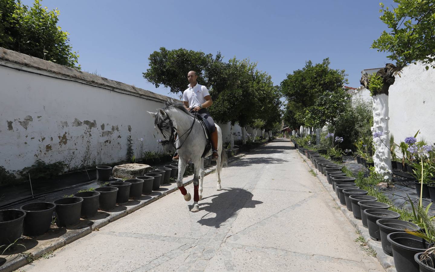 La huerta de Caballerizas Reales, en imágenes