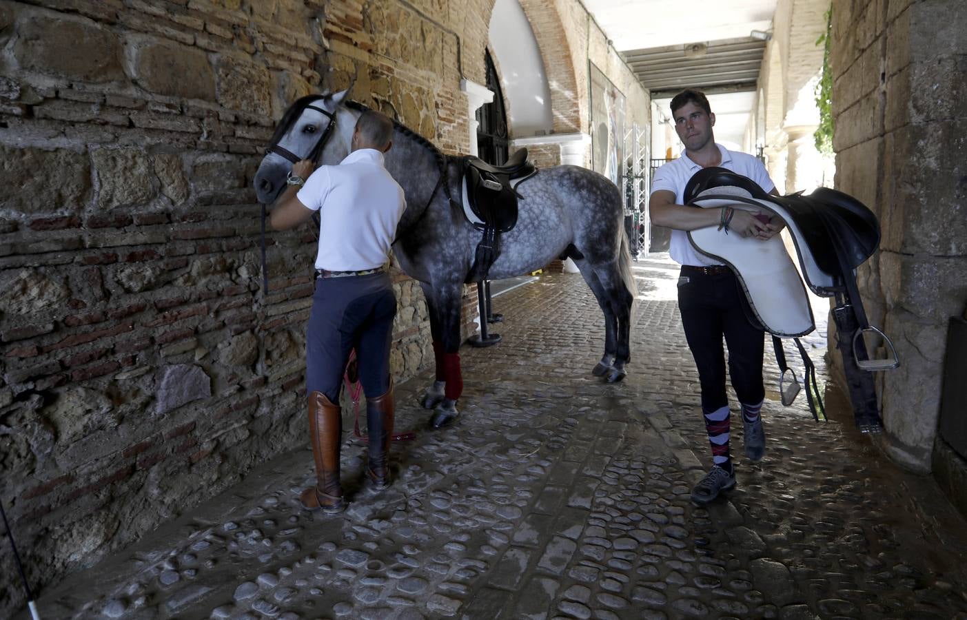 La huerta de Caballerizas Reales, en imágenes