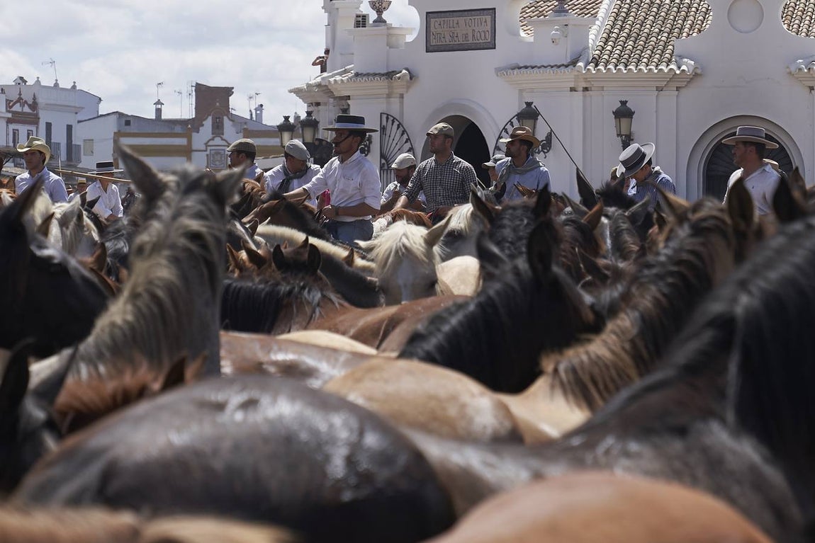 Impresionantes imágenes de la Saca de yeguas en el Rocío