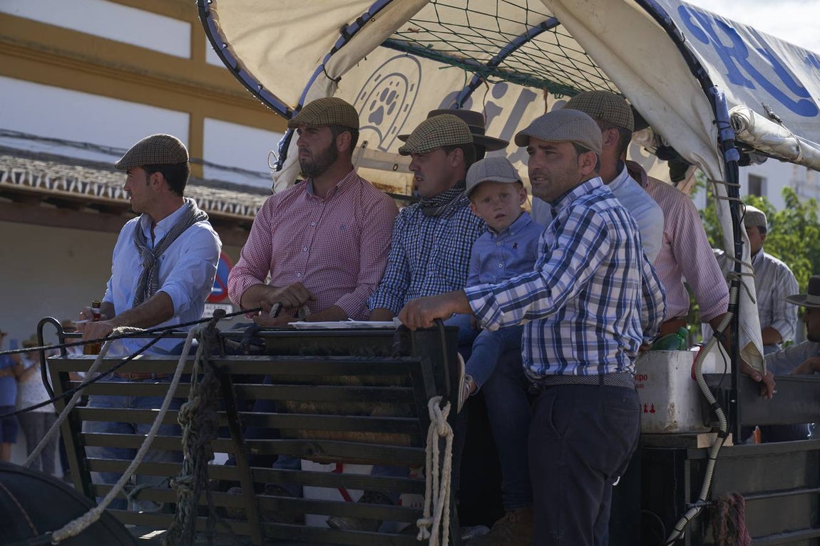 Impresionantes imágenes de la Saca de yeguas en el Rocío